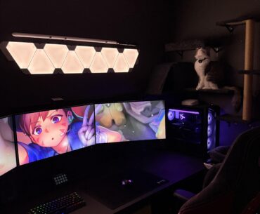 Is my cat r/battlestation worthy?