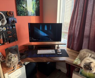 A battlestation isn't complete without cat napping spots.