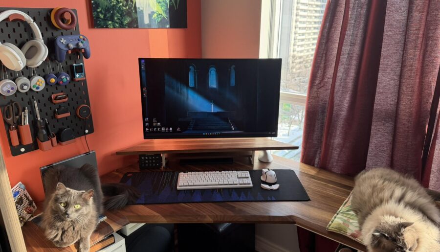 A battlestation isn’t complete without cat napping spots.