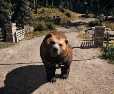 [Far Cry 5] Cheeseburger is the best non-dog animal companion in a video game. Change my mind.