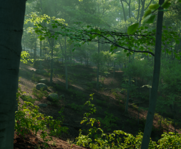 Unreal Engine 5.7 procedural content generation updates explained