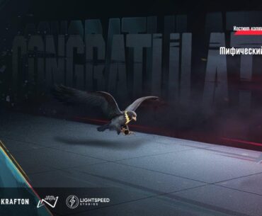 I got companion skin from home competition