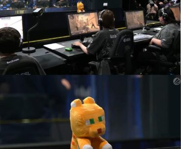 Does this orange plush give +10 aim or +5 armor？😂
