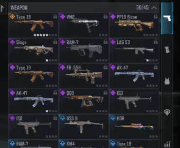 Witch Assault/LMG/SMG is the best?