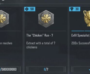 The Chicken Run