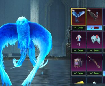 How do you like the new pet ?