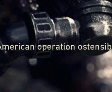 Interesting bit of lore for zombies.