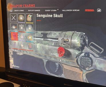 I finally got the Sanguine Skull!