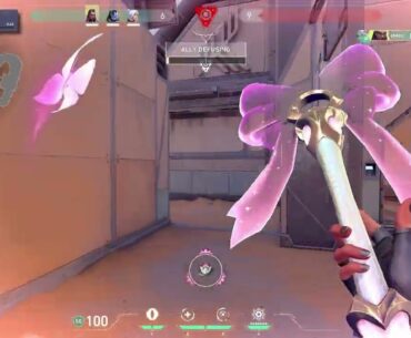 who let quinn play tac fps games.