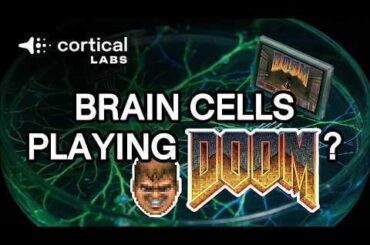 Living Human Brain Cells Play DOOM on a CL1