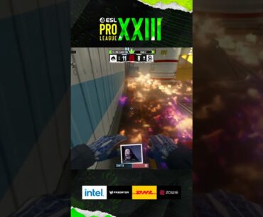 alex666 DIES… but his MOLLY wins the round #esl #epl #cs #cs2