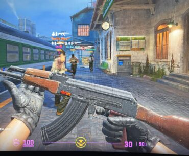 New AK skin