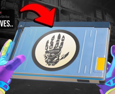 WE OPENED NEW CS2 GLOVE CASES..