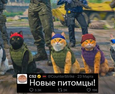 ОБНОВЛЕНИЕ CS2 ARMORY, НОВЫЕ ПИТОМЦЫ, ГОДОВЩИНА КС2, ПОСЛЕДНИЙ ШАНС, КАРТА КЭШ, ЦЕНЫ НОВЫХ ПЕРЧАТОК