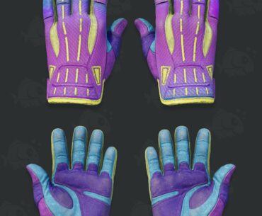 Can someone with the right knowledge rate these Gloves?