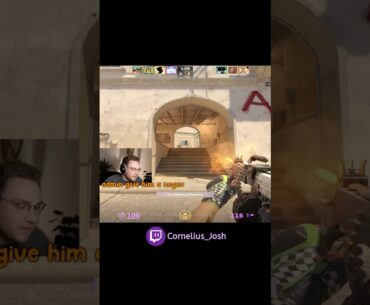 NEGEV'S IN PALACE #cs2 #counterstrike #funny