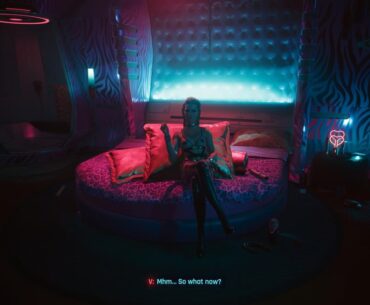 Cyberpunk is my gay girl paradise (new player)