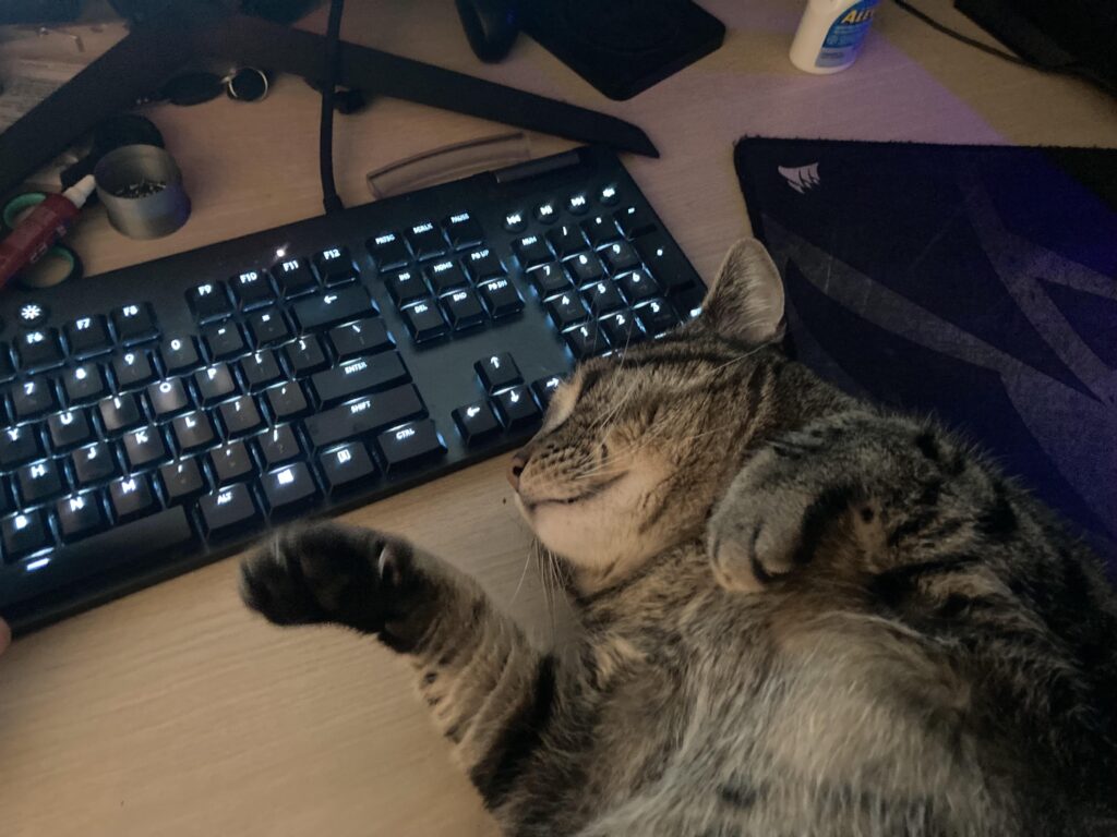 Meatball getting some belly rubs