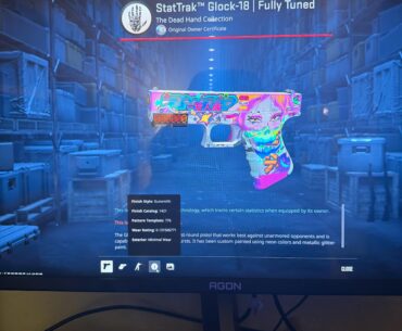 Did I mess up by buying this for 250