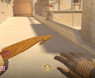 What Gut Knife Cheap combo looks the best?