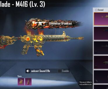 Finally my first upgradable skin, how do i upgrade , anytips?