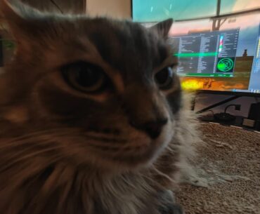 Can I use my PC?