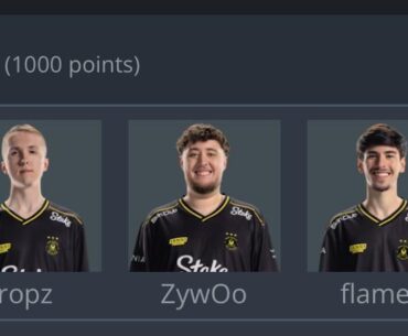 Fun fact: 4 out of the 5 Vitality members have the letter “z” in their username, referencing the organisation’s bee theming. Apex is not included due to bees having short lifespans and usually not living to see 30.