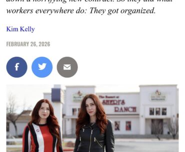 The Mox IRL. I like where this is going.