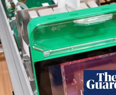 A petri dish of human brain cells is currently playing Doom.