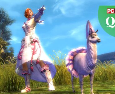 Guild Wars 2 player character dressed in a white frilly robe standing beside her llama companion wearing a hate