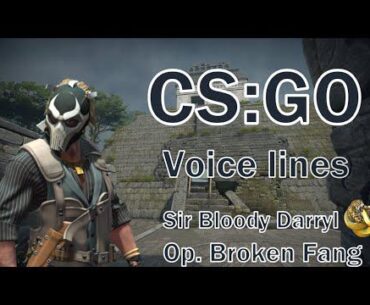 agent voicelines deleted from the game?