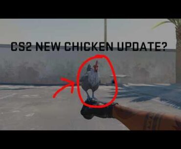 CS2 Upcoming Pet Update