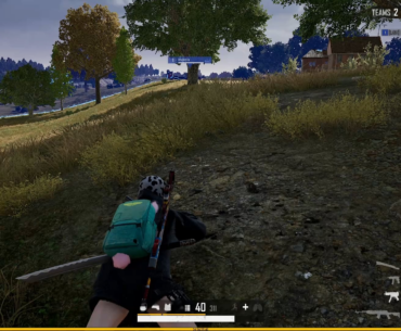 Visual bug while crawling?