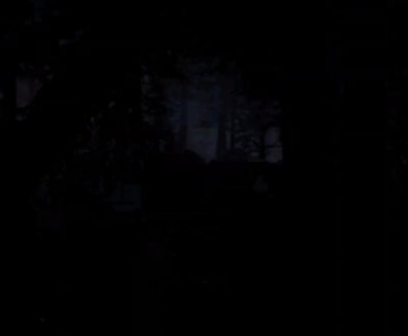 do you think Modern Warfare 4 will come close to this aura this year?