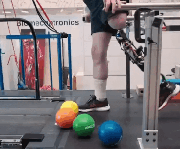 My choom just got his first chrome, what do you guys think?