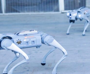 Robot dogs priced at $300,000 a piece are now guarding some of the country’s biggest data centers
