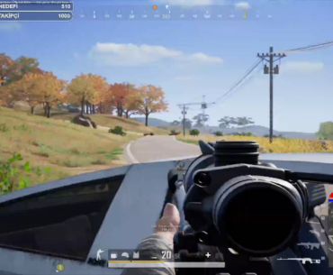 two birds one car
