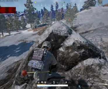 Anyone ever died to a polar bear?