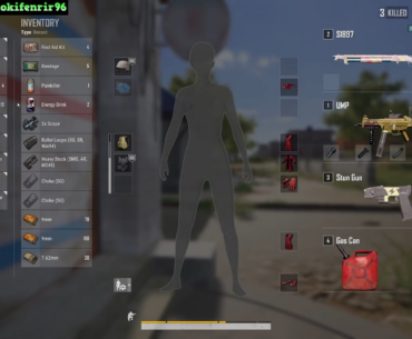 a novel way of hiding blue chips?!