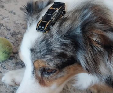 Got my hands on my favourite car