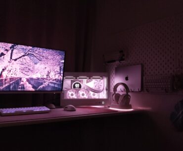 WIP Setup - Looking For Feedback!