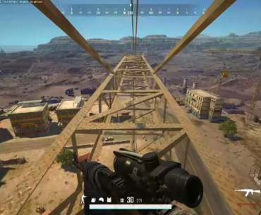 A tiger in the trees