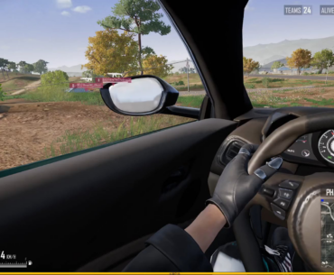 Is there a way to remove flowers/grass or is this guy cheating?