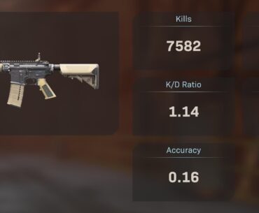 What gun y’all got the highest kills on?