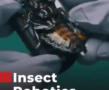 SWARM Biotactics Deploys Operational Cyborg Insect Swarms for NATO