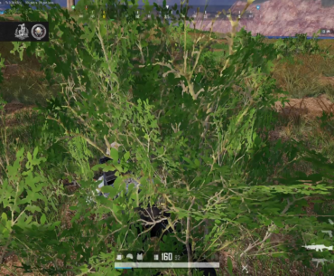 Greatest clip of all time