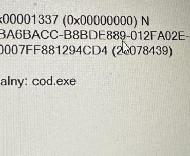 Strange 100% CPU and 1% GPU usage while playing Warzone