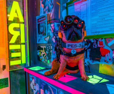 Meet the local security at our cyberpunk district in Prague. PES-3 is fully interactive—equipped with motion sensors, he barks and talks to anyone trying to sneak past the neon gate. 🦾🐶