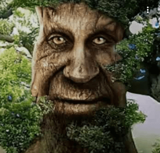 Does Anyone Else See It