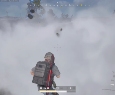 Polar Bear for the Win